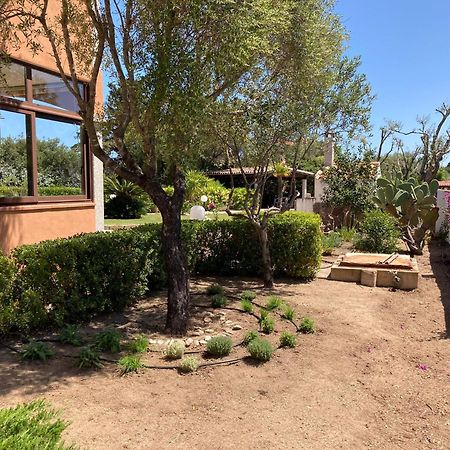 Sardegna - Villa Mirto & Flowers ออลเบีย ภายนอก รูปภาพ