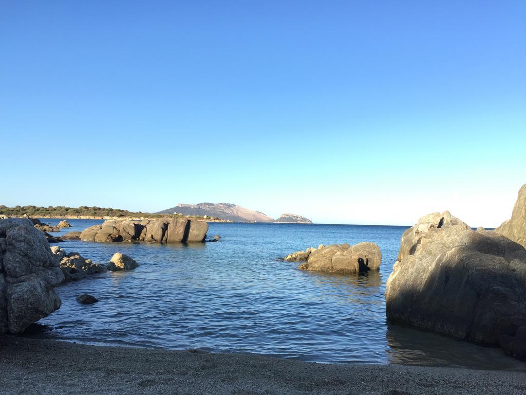 Sardegna - Villa Mirto & Flowers ออลเบีย ภายนอก รูปภาพ